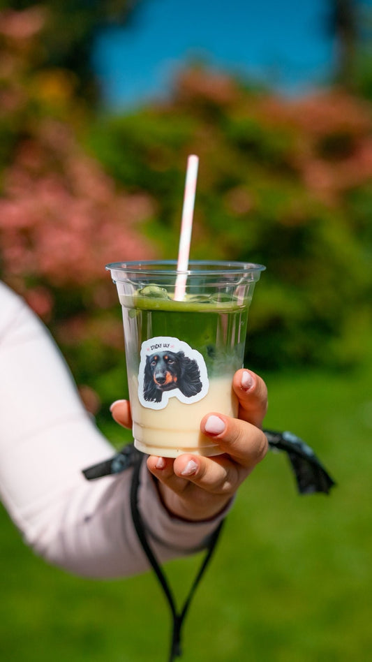 Inscriptions 2nd edition Pilâtes, Matcha & DOG MOM 🐶🌸🍦 - Mademoiselle Matcha
