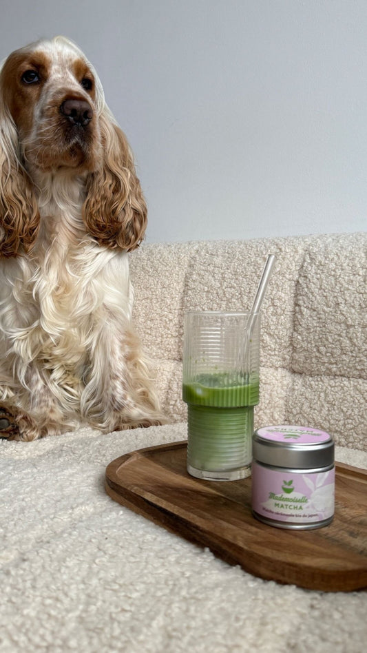 Inscription Pilâtes and DOG MOM 🐶🌸🍦 - Mademoiselle Matcha