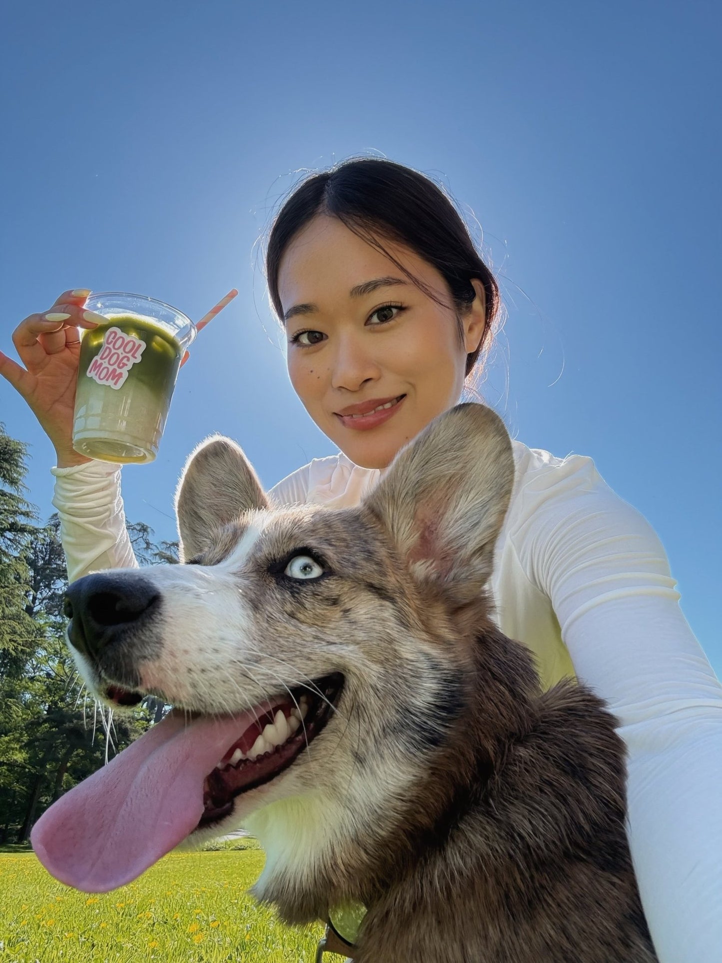 Inscriptions 2nd edition Pilâtes, Matcha & DOG MOM 🐶🌸🍦 - Mademoiselle Matcha